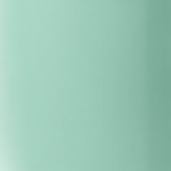 

Lasting Color Gel Лак Для Ногтей № 56