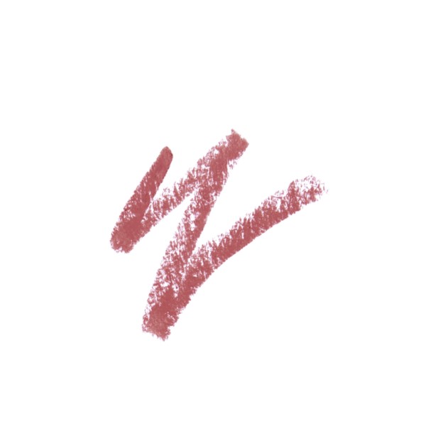 PERFECT LIPLINER Карандаш для губ № 05