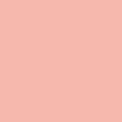 I M BLUSHING Румяна компактные № 001