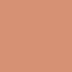 I M BLUSHING Румяна компактные № 004