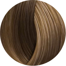 BEAUTY COLOR PROFESSIONAL Стойкая крем-краска для волос № 8.13 СВЕТЛЫЙ БЛОНД ХОЛОДНЫЙ БЕЖЕВЫЙ 70 мл
