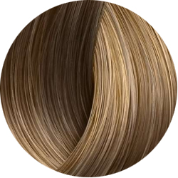 BEAUTY COLOR PROFESSIONAL Стойкая крем-краска для волос № 8.07 НАТУРАЛЬНЫЙ СВЕТЛЫЙ БЛОНД КОФЕЙНЫЙ 70 мл