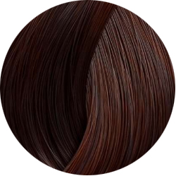 BEAUTY COLOR PROFESSIONAL Стойкая крем-краска для волос № 6.6 dark blond red 70 мл