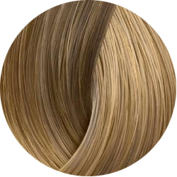 BEAUTY COLOR PROFESSIONAL Стойкая крем-краска для волос № 10.31 very very light honey blond 70 мл