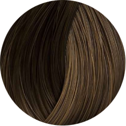 BEAUTY COLOR PROFESSIONAL Стойкая крем-краска для волос № 6.3 dark gold blond 70 мл