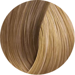BEAUTY COLOR PROFESSIONAL Стойкая крем-краска для волос № 9.31 very light honey blond 70 мл