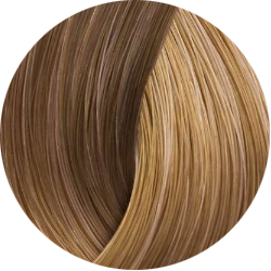 BEAUTY COLOR PROFESSIONAL Стойкая крем-краска для волос № 8.31 light honey blond 70 мл