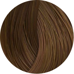BEAUTY COLOR PROFESSIONAL Стойкая крем-краска для волос № 7.31 honey blond 70 мл