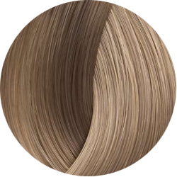 BEAUTY COLOR PROFESSIONAL Стойкая крем-краска для волос № 9.1 very light blond ash 70 мл
