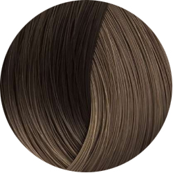 BEAUTY COLOR PROFESSIONAL Стойкая крем-краска для волос № 8.1 light blond ash 70 мл