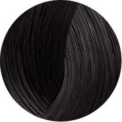 BEAUTY COLOR PROFESSIONAL Стойкая крем-краска для волос № 2 black 70 мл