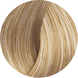 BEAUTY COLOR PROFESSIONAL Стойкая крем-краска для волос № 10 very very light blond 70 мл