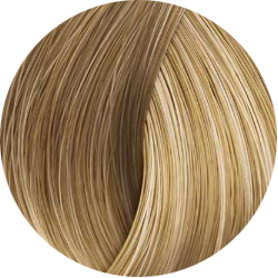 BEAUTY COLOR PROFESSIONAL Стойкая крем-краска для волос № 9 very light blond 70 мл