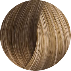 BEAUTY COLOR PROFESSIONAL Стойкая крем-краска для волос № 8 light blond 70 мл