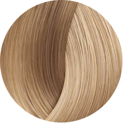 BEAUTY COLOR PROFESSIONAL Стойкая крем-краска для волос № 10.1 very very light blond ash 70 мл