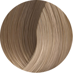 BEAUTY COLOR PROFESSIONAL Стойкая крем-краска для волос № 9.12 ultra blonde ash violet 70 мл