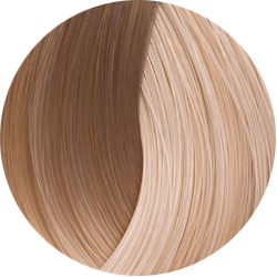 BEAUTY COLOR PROFESSIONAL SUPER BLONDS Стойкая крем-краска для волос № 1012 СУПЕР БЛОНД ПЕПЕЛЬНО-ФИОЛЕТОВЫЙ 70 мл