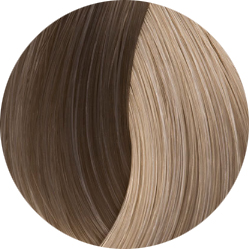 BEAUTY COLOR PROFESSIONAL SUPER BLONDS Стойкая крем-краска для волос № 1081 СУПЕР БЛОНД ПЛАТИНОВО-ПЕПЕЛЬНЫЙ 70 мл