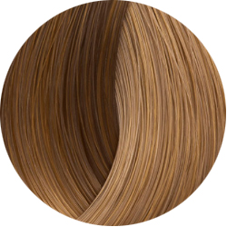 BEAUTY COLOR PROFESSIONAL SUPER BLONDS Стойкая крем-краска для волос № 1007 СУПЕР БЛОНД ПЕСОЧНО-БЕЖЕВЫЙ 70 мл