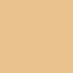 MATTIFYING EXTREME WEAR FOUNDATION Тональная основа для лица стойкая с матирующим эффектом № 120