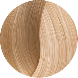BEAUTY COLOR PROFESSIONAL SUPER BLONDS Стойкая крем-краска для волос № 1001 СУПЕР БЛОНД ПЕПЕЛЬНЫЙ 70 мл