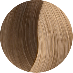 BEAUTY COLOR PROFESSIONAL SUPER BLONDS Стойкая крем-краска для волос № 1001.1 СУПЕР БЛОНД ПЕПЕЛЬНО ПЕПЕЛЬНЫЙ 70 мл