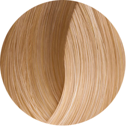 BEAUTY COLOR PROFESSIONAL SUPER BLONDS Стойкая крем-краска для волос № 1013 СУПЕР БЛОНД МЕДОВЫЙ 70 мл