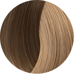 BEAUTY COLOR PROFESSIONAL SUPER BLONDS Стойкая крем-краска для волос № 1089 СУПЕР БЛОНД ЖЕМЧУЖНЫЙ 70 мл