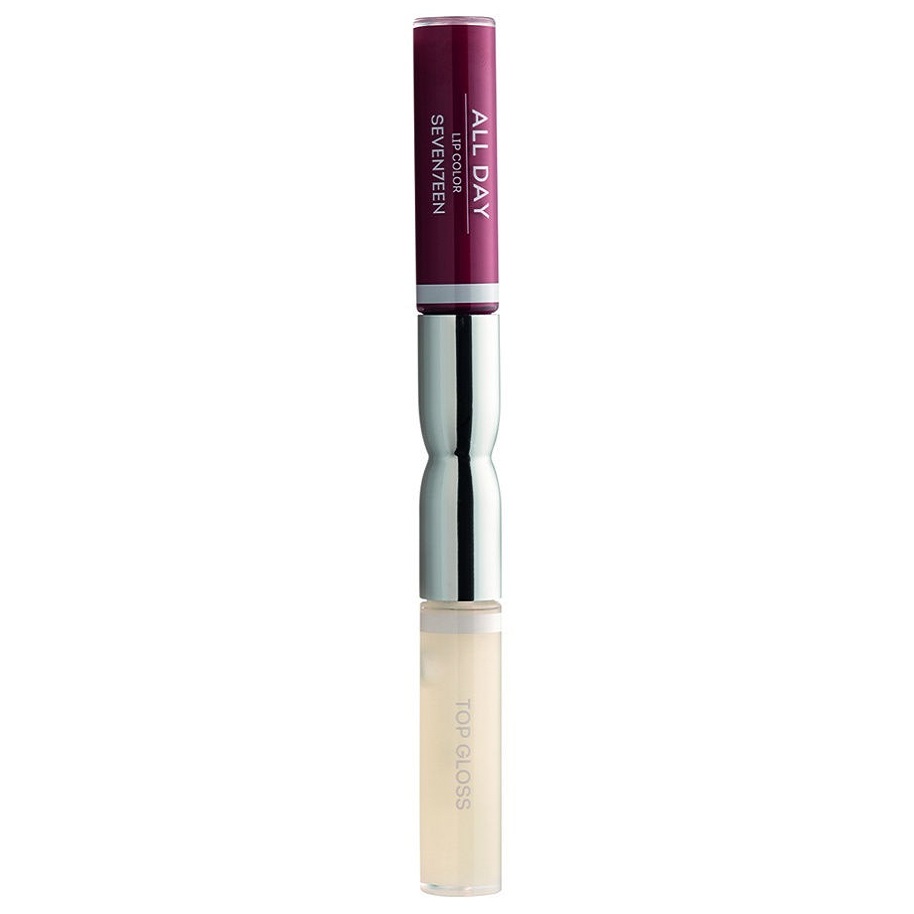 ALL DAY LIP COLOR Жидкая стойкая помада-блеск № 61