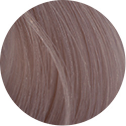 COLOR SHADE Крем-краска для волос № 12.2 специальный блонд фиолетовый 100мл