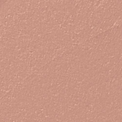 MATTE COLOR TIME LIPCOLOR Помада жидкая матовая № 205
