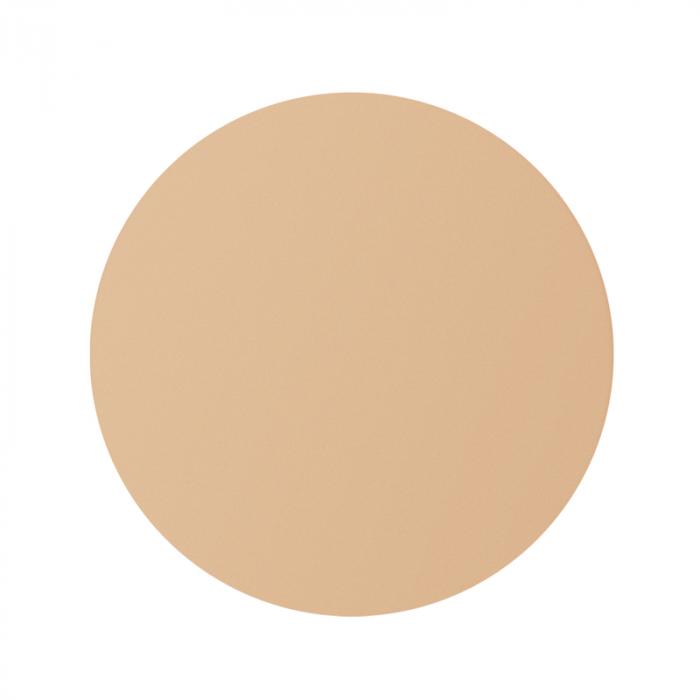 SKIN PERFECT CORRECTOR Корректор для лица в футляре № 03