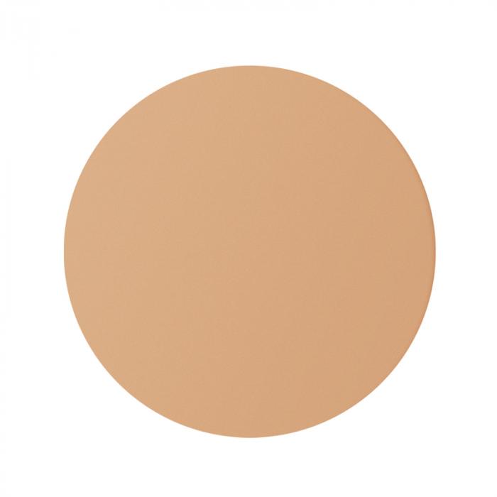 SKIN PERFECT CORRECTOR Корректор для лица в футляре № 04