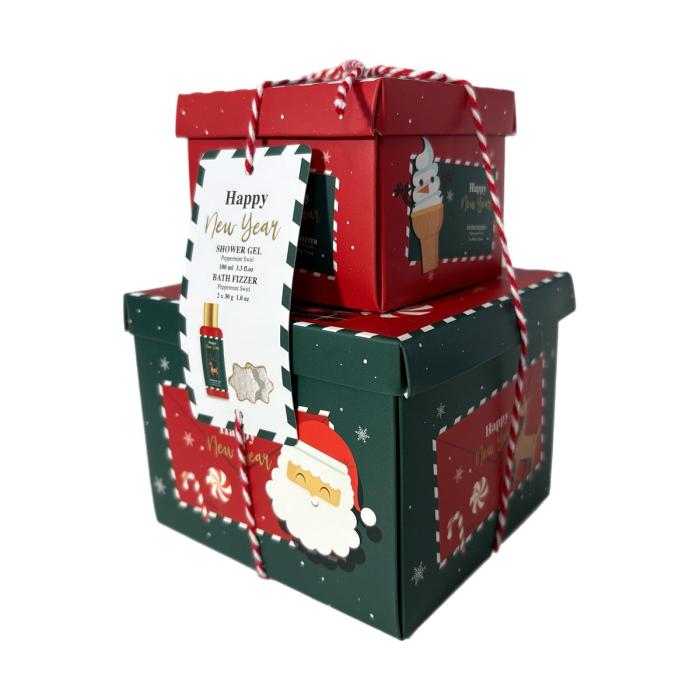 Подарочный набор № 63 Гель для душа 100мл, физзер 2шт по 30г