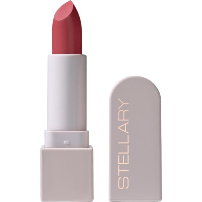 LONG LASTING LIPSTICK Помада для губ устойчивая № 24 hot brunette