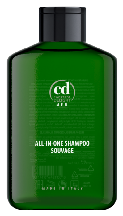Barber Гель-шампунь All-in-One Souvage 250 мл