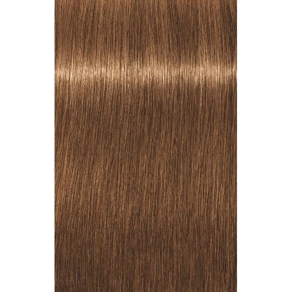 IGORA ROYAL ABSOLUTES AGE BLEND Крем-краска для волос № 7-450 Средний русый бежевый золотистый 60мл