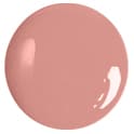 ALL DAY LIP COLOR Жидкая стойкая помада-блеск № 31